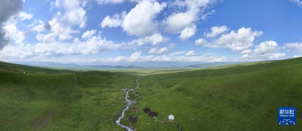 转场天山下 转场天山下