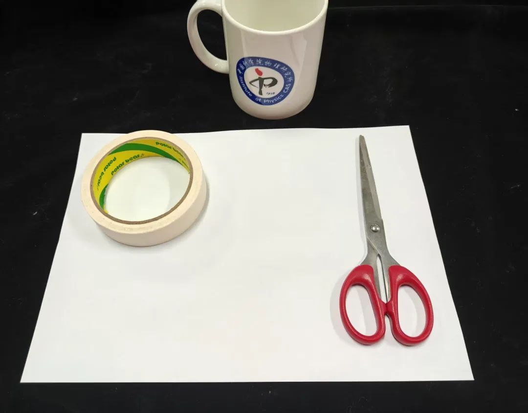 没有翅膀也能飞?鸟鸟们看完都傻了? 没有翅膀也能飞?鸟鸟们看完都傻了?