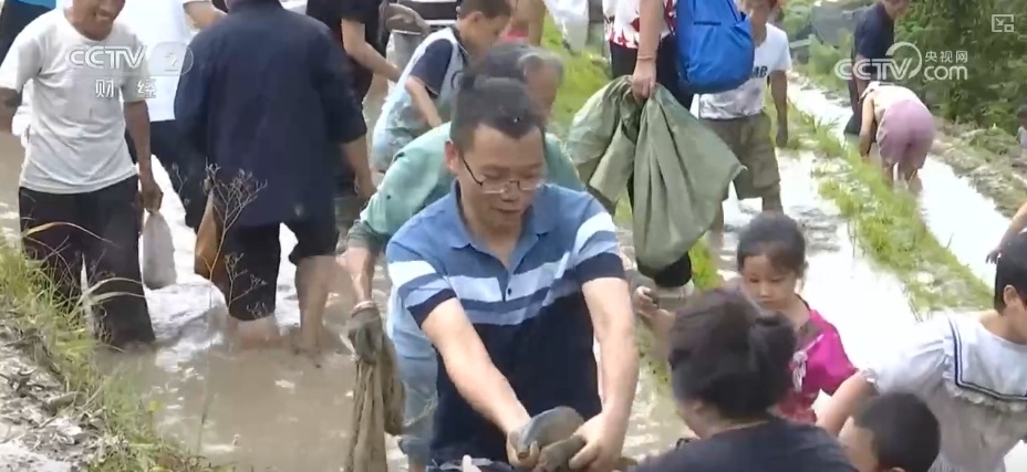 千年农耕文化尽显焕新魅力 民俗节庆点燃游客热情 撬动消费热潮 千年农耕文化尽显焕新魅力 民俗节庆点燃游客热情 撬动消费热潮