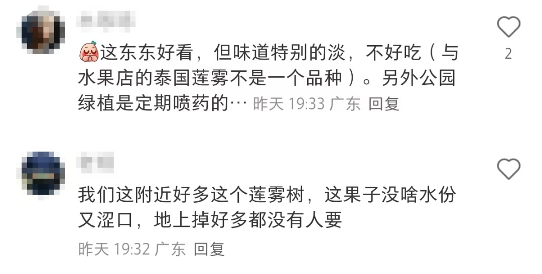 深圳莲花山公园大量出现！网友称“根本捡不完！”官方提醒