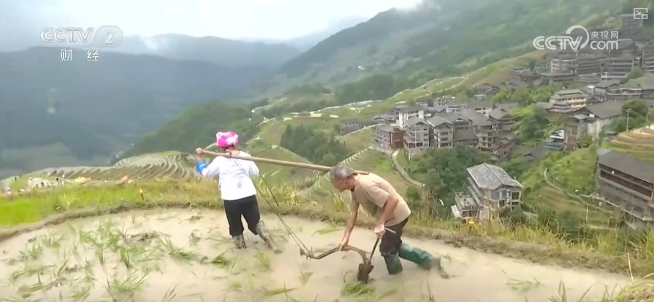 千年农耕文化尽显焕新魅力 民俗节庆点燃游客热情 撬动消费热潮 千年农耕文化尽显焕新魅力 民俗节庆点燃游客热情 撬动消费热潮