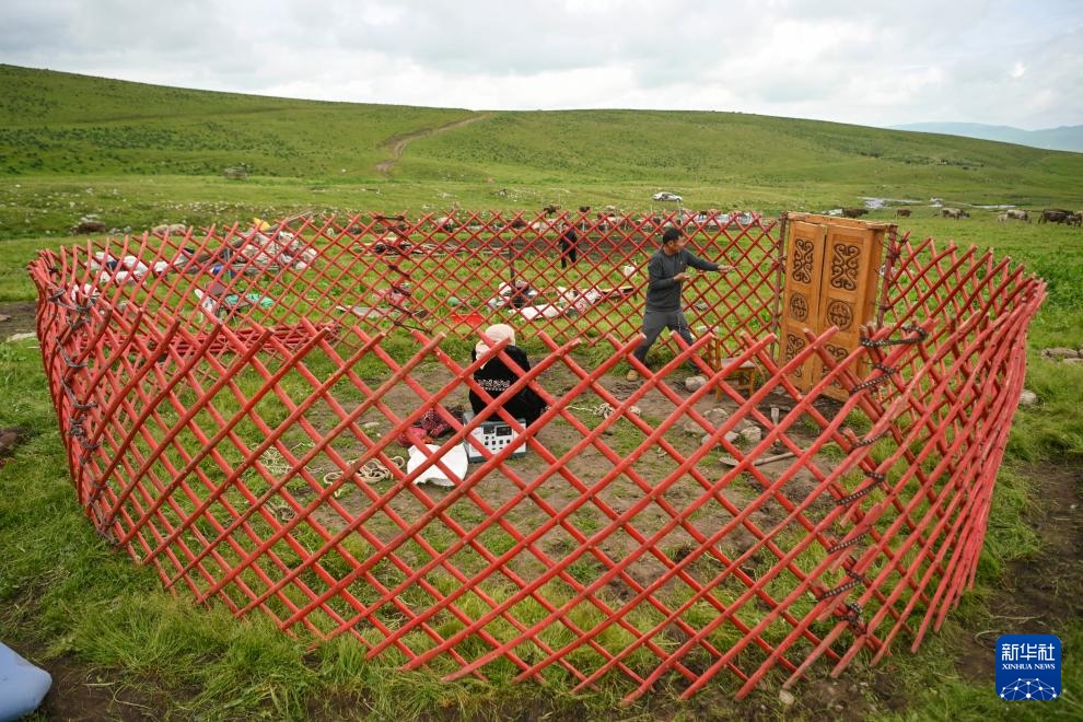 转场天山下 转场天山下