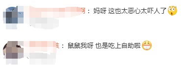 老鼠上桌吃自助?北京一火锅店上演惊人一幕 老鼠上桌吃自助?北京一火锅店上演惊人一幕