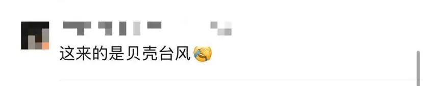 根本捡不完！台风过后，深圳一海滩惊现大量海鲜→