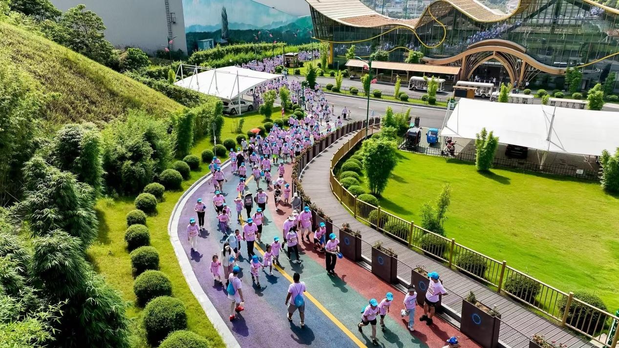 “益阳走娃”闯入竹林秘境 萌娃“小脚丫”丈量大竹海 “益阳走娃”闯入竹林秘境 萌娃“小脚丫”丈量大竹海