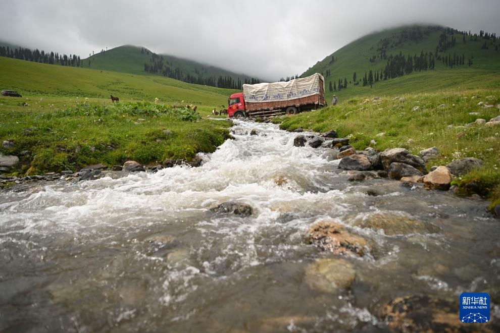 转场天山下 转场天山下