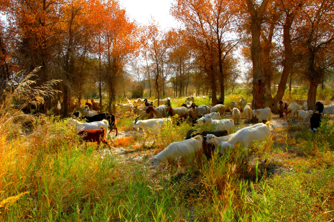 收好准考证,这些地方全部免费! 收好准考证,这些地方全部免费!