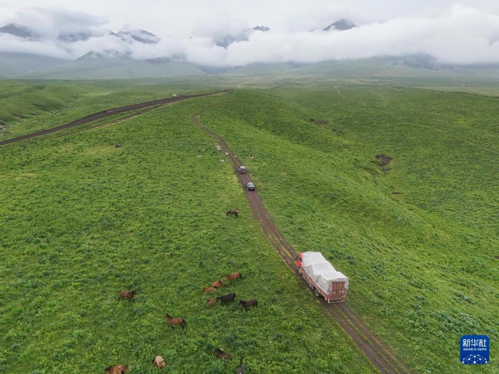 转场天山下 转场天山下