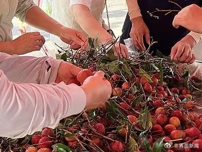 荔枝价格暴跌七成 荔枝价格暴跌七成