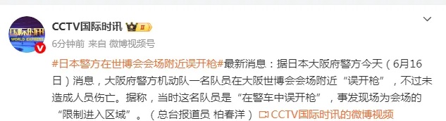 日本警方在世博会会场附近误开枪 日本警方在世博会会场附近误开枪