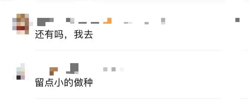 根本捡不完！台风过后，深圳一海滩惊现大量海鲜→