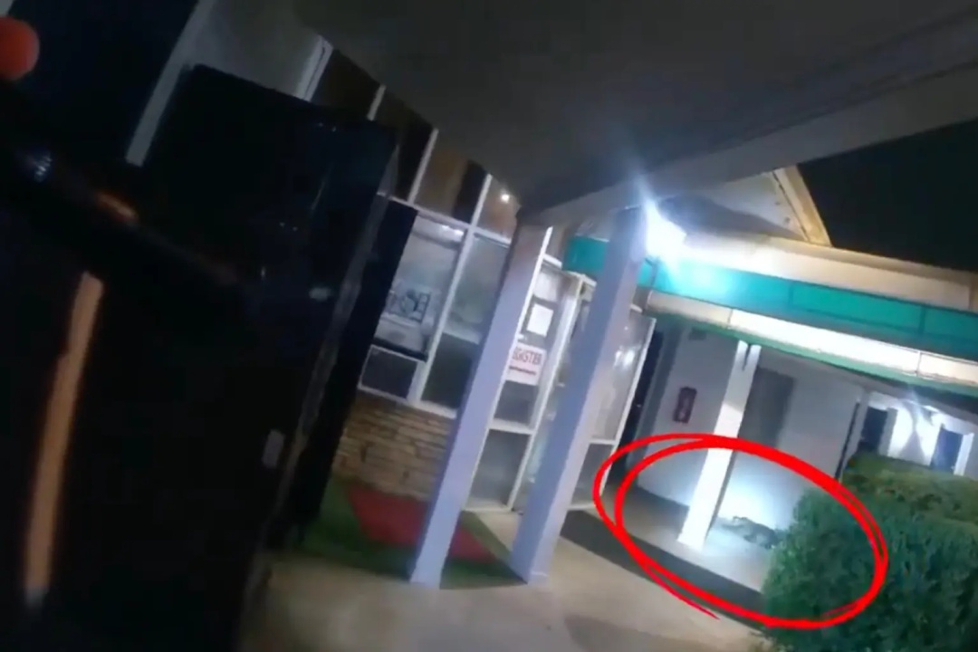 美警方在汽车旅馆对峙1.8米的鳄鱼，它在前往动物园的途中逃跑