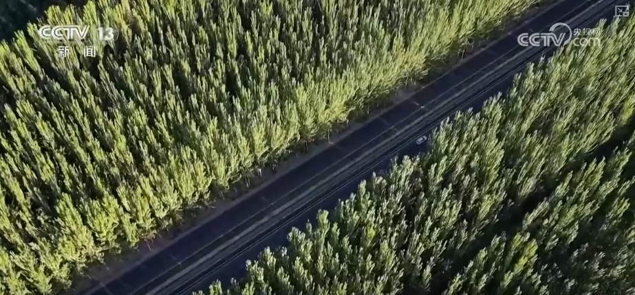 双缩减、零增长、绿富同兴……精准“把脉”治理荒漠化 让“绿意”永久长存 双缩减、零增长、绿富同兴……精准“把脉”治理荒漠化 让“绿意”永久长存