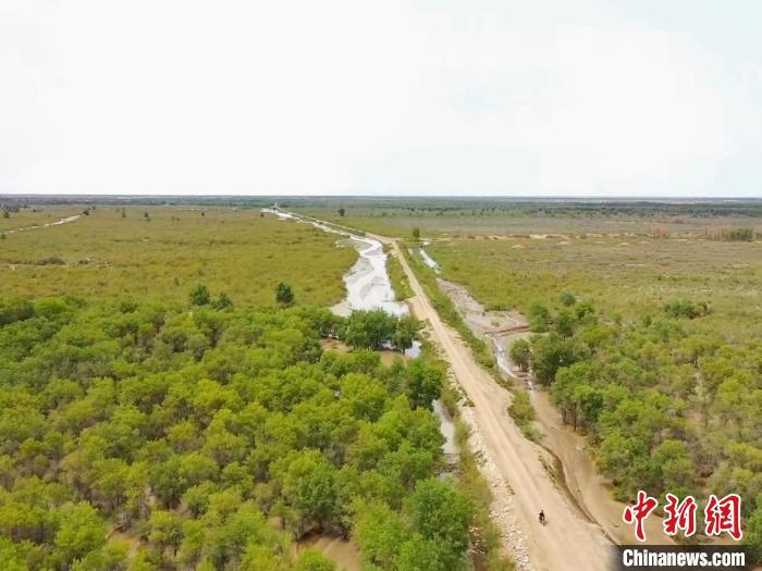 绿进沙退、绿富同兴,实探中国最大沙漠治理 绿进沙退、绿富同兴,实探中国最大沙漠治理