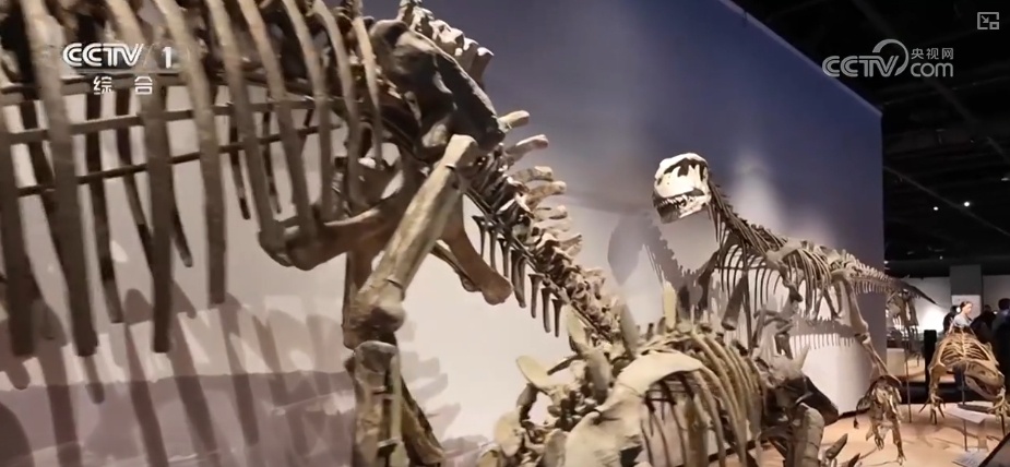 影视IP燃动文旅消费热力 “观影+消费+文化”一站式体验释放新活力 影视IP燃动文旅消费热力 “观影+消费+文化”一站式体验释放新活力