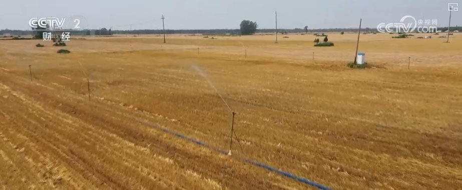 电力“高速路”建设“加速跑”,支撑稳!梳理迎峰度夏电力保供新变化 电力“高速路”建设“加速跑”,支撑稳!梳理迎峰度夏电力保供新变化