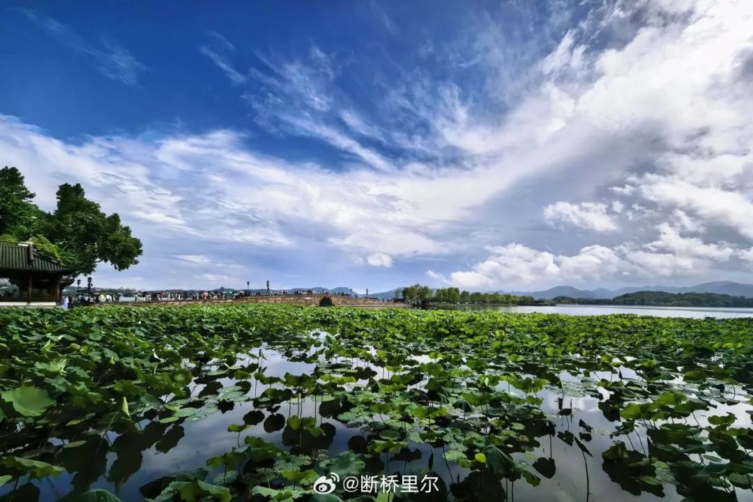 冲击38℃!浙江未来7天持续晴热,小心强对流突袭 冲击38℃!浙江未来7天持续晴热,小心强对流突袭