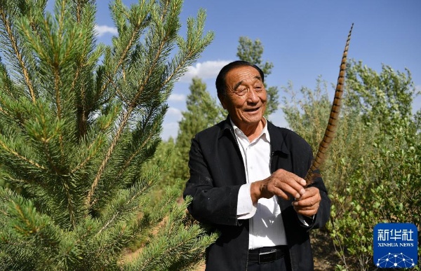 治沙这件事,他们做了一辈子 治沙这件事,他们做了一辈子