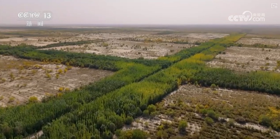双缩减、零增长、绿富同兴……精准“把脉”治理荒漠化 让“绿意”永久长存 双缩减、零增长、绿富同兴……精准“把脉”治理荒漠化 让“绿意”永久长存