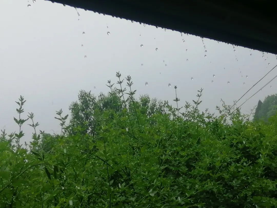 贵阳明晚开始下雨!将持续7天左右! 贵阳明晚开始下雨!将持续7天左右!