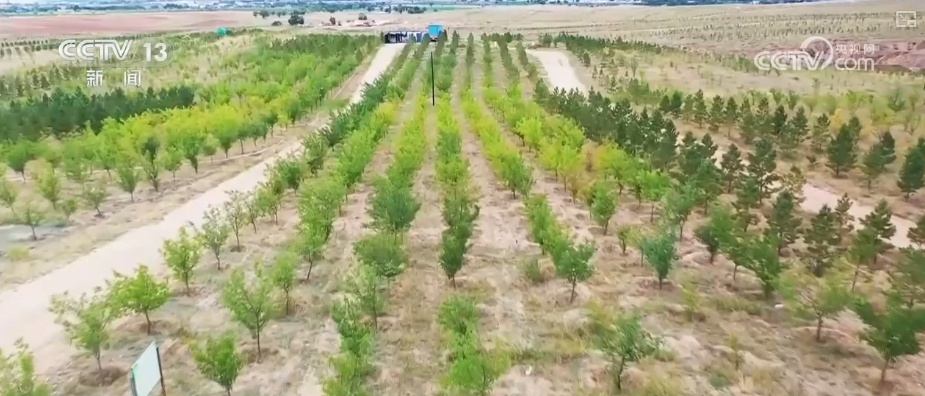 双缩减、零增长、绿富同兴……精准“把脉”治理荒漠化 让“绿意”永久长存 双缩减、零增长、绿富同兴……精准“把脉”治理荒漠化 让“绿意”永久长存