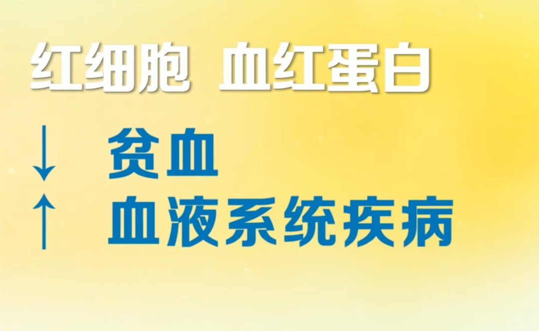 血常规几十个指标,关键看这4个指标!尤其这个指标,可能有血栓风险 血常规几十个指标,关键看这4个指标!尤其这个指标,可能有血栓风险