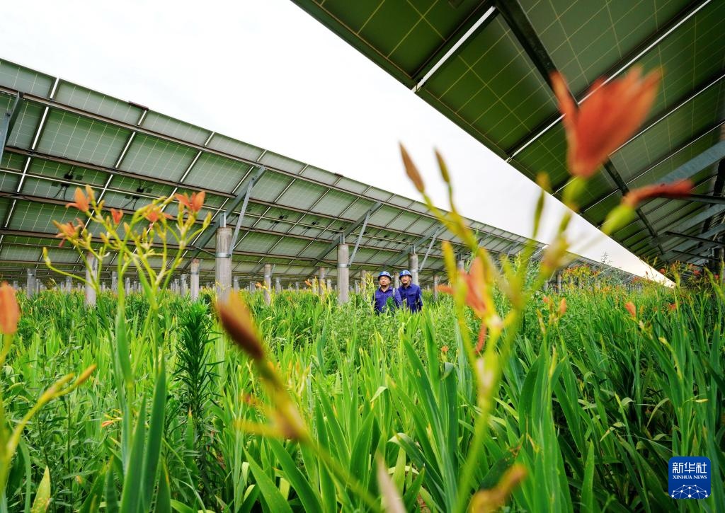 河北:推进清洁能源项目建设 助力绿色低碳发展 河北:推进清洁能源项目建设 助力绿色低碳发展