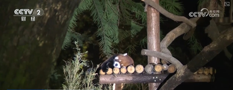 “八小时外”消费火热 夏日经济“夜动力”撬动消费“夜”态新引擎 “八小时外”消费火热 夏日经济“夜动力”撬动消费“夜”态新引擎