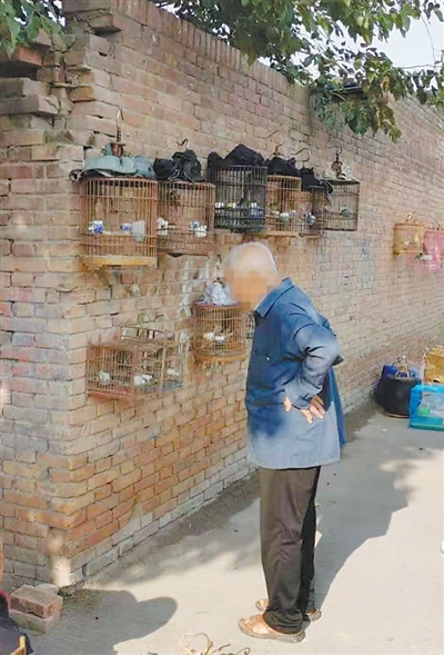 9人被采取刑事强制措施!西安打击野生鸟类公开贩卖 9人被采取刑事强制措施!西安打击野生鸟类公开贩卖