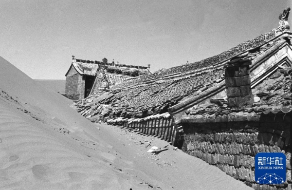 治沙这件事,他们做了一辈子 治沙这件事,他们做了一辈子