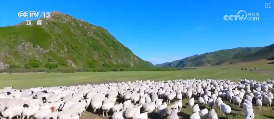 双缩减、零增长、绿富同兴……精准“把脉”治理荒漠化 让“绿意”永久长存 双缩减、零增长、绿富同兴……精准“把脉”治理荒漠化 让“绿意”永久长存