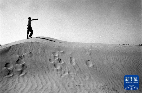 治沙这件事,他们做了一辈子 治沙这件事,他们做了一辈子