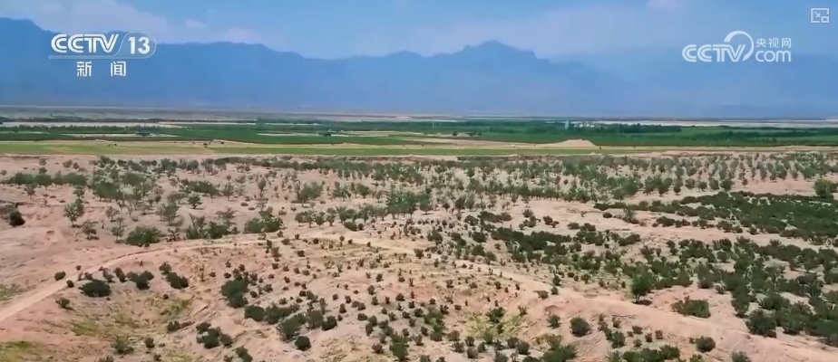 双缩减、零增长、绿富同兴……精准“把脉”治理荒漠化 让“绿意”永久长存 双缩减、零增长、绿富同兴……精准“把脉”治理荒漠化 让“绿意”永久长存