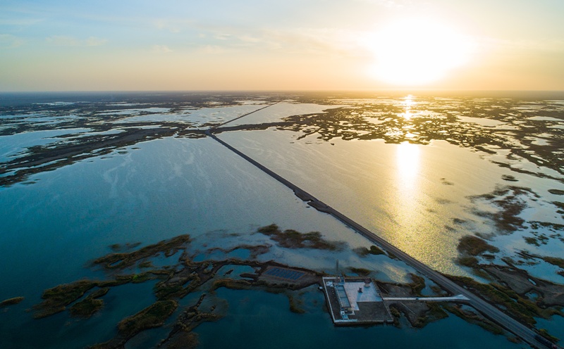 干涸数十年，这个沙漠湖泊何以“复活”？