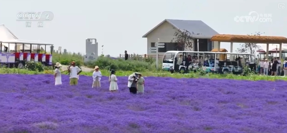 古老习俗“活”起来、“避暑+探险”“火”起来 暑期文旅热力全开 古老习俗“活”起来、“避暑+探险”“火”起来 暑期文旅热力全开