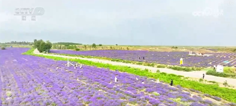 古老习俗“活”起来、“避暑+探险”“火”起来 暑期文旅热力全开 古老习俗“活”起来、“避暑+探险”“火”起来 暑期文旅热力全开