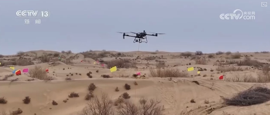 宜林则林、宜草则草 “沙退绿进”生态奇迹彰显“智慧”底色 宜林则林、宜草则草 “沙退绿进”生态奇迹彰显“智慧”底色