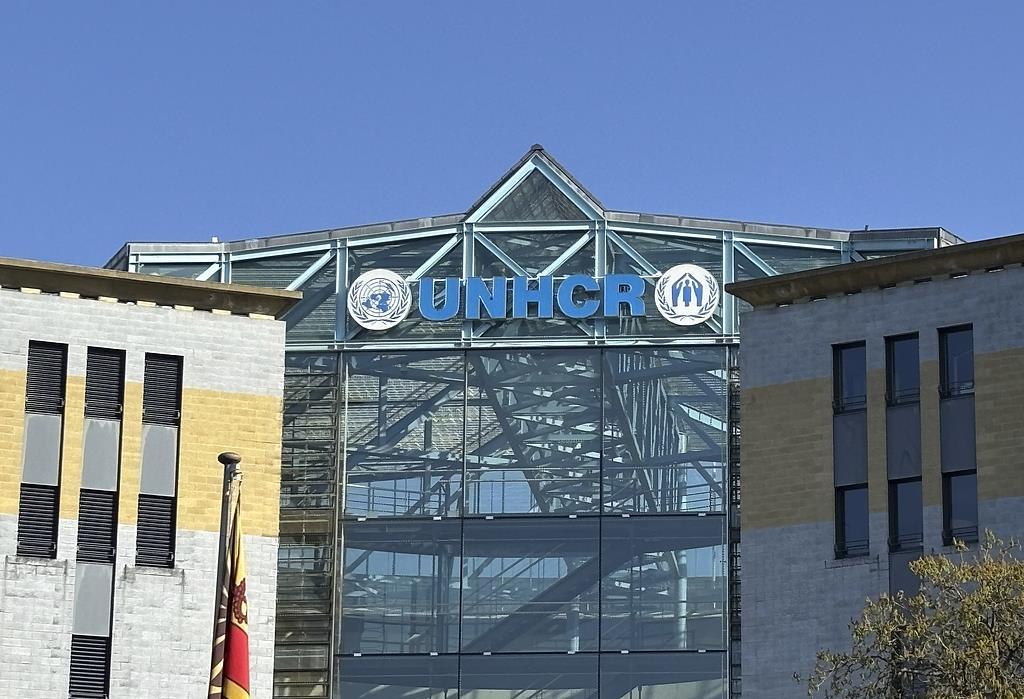 为节省开支 联合国难民署裁员3500人 为节省开支 联合国难民署裁员3500人