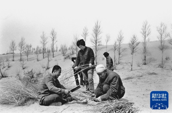 治沙这件事,他们做了一辈子 治沙这件事,他们做了一辈子