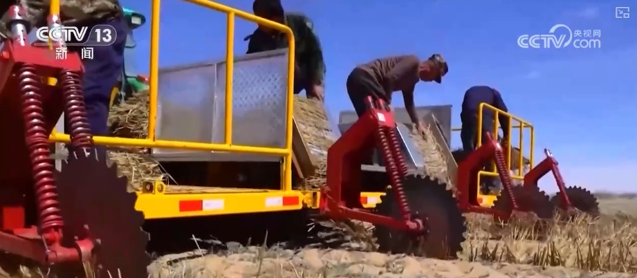 宜林则林、宜草则草 “沙退绿进”生态奇迹彰显“智慧”底色 宜林则林、宜草则草 “沙退绿进”生态奇迹彰显“智慧”底色