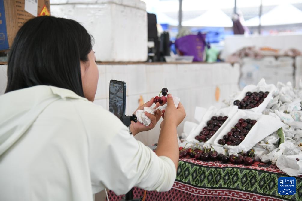 四川汉源:樱桃红 果农忙 四川汉源:樱桃红 果农忙