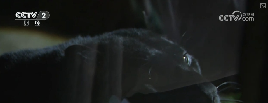 “八小时外”消费火热 夏日经济“夜动力”撬动消费“夜”态新引擎 “八小时外”消费火热 夏日经济“夜动力”撬动消费“夜”态新引擎