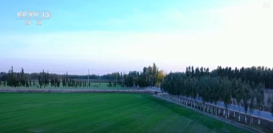 双缩减、零增长、绿富同兴……精准“把脉”治理荒漠化 让“绿意”永久长存 双缩减、零增长、绿富同兴……精准“把脉”治理荒漠化 让“绿意”永久长存