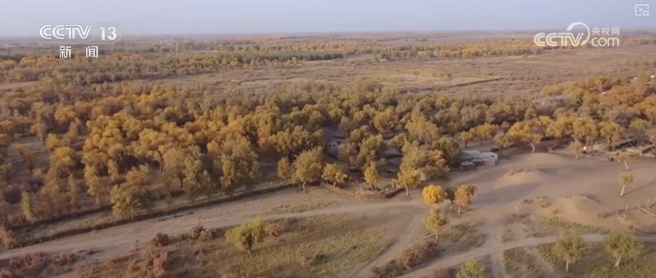 双缩减、零增长、绿富同兴……精准“把脉”治理荒漠化 让“绿意”永久长存 双缩减、零增长、绿富同兴……精准“把脉”治理荒漠化 让“绿意”永久长存