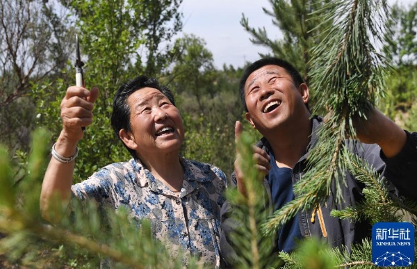 治沙这件事,他们做了一辈子 治沙这件事,他们做了一辈子