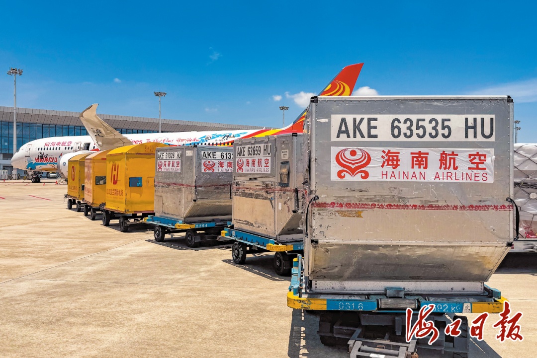 今年首次进入美洲、非洲和欧洲市场!海口火山荔枝登上“世界货架” 今年首次进入美洲、非洲和欧洲市场!海口火山荔枝登上“世界货架”