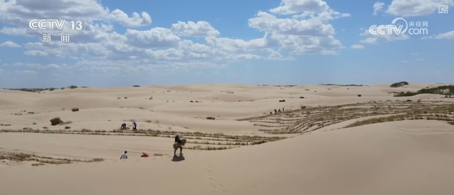 双缩减、零增长、绿富同兴……精准“把脉”治理荒漠化 让“绿意”永久长存 双缩减、零增长、绿富同兴……精准“把脉”治理荒漠化 让“绿意”永久长存