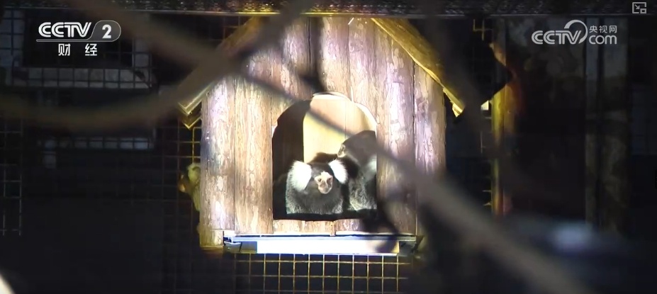 “八小时外”消费火热 夏日经济“夜动力”撬动消费“夜”态新引擎 “八小时外”消费火热 夏日经济“夜动力”撬动消费“夜”态新引擎