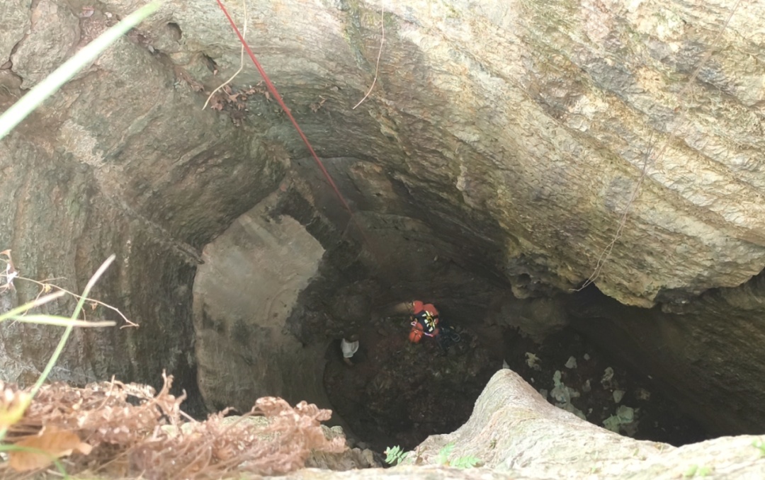 家养“在逃鸭子”引女子一头钻进“地下”?全村出动…… 家养“在逃鸭子”引女子一头钻进“地下”?全村出动……