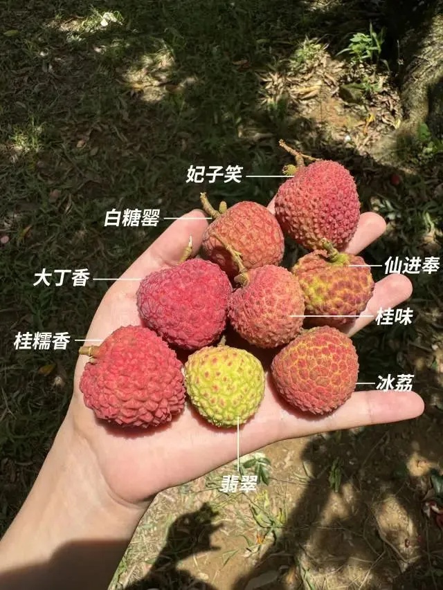 才1个月，价格暴跌7成！最近到处都有卖，要注意这个细节